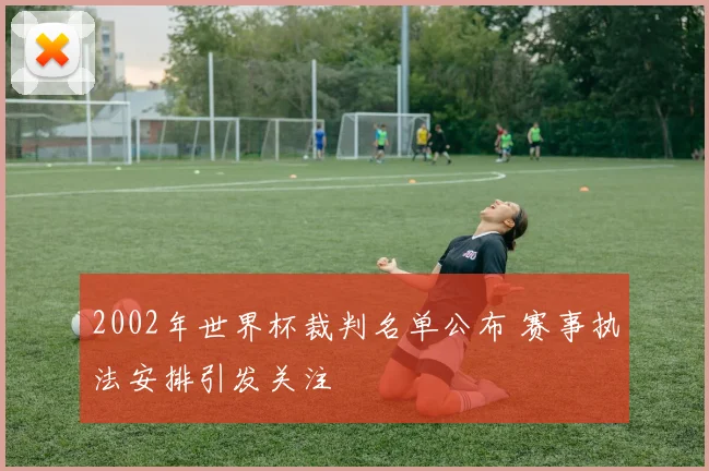 2002年世界杯裁判名单公布 赛事执法安排引发关注