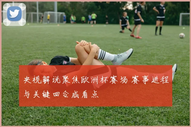 央视解说聚焦欧洲杯赛场 赛事进程与关键回合成看点