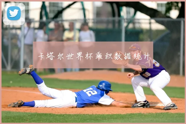 卡塔尔世界杯乘积数据统计