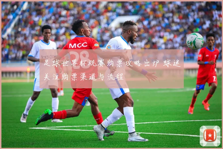 足球世界杯观赛购票攻略出炉 球迷关注购票渠道与流程