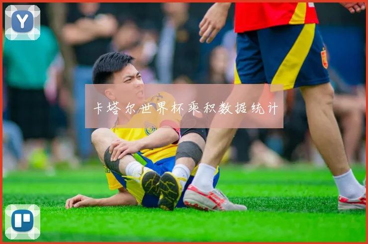 卡塔尔世界杯乘积数据统计