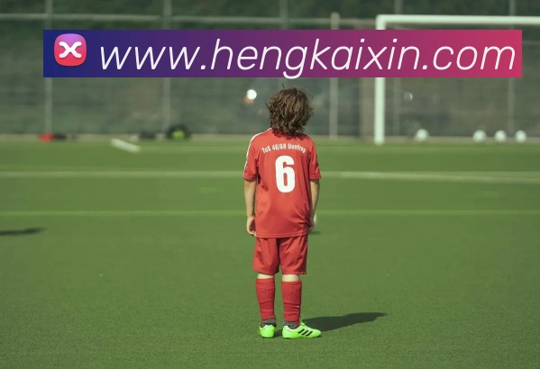 hth华体官网登录入口平台生态图